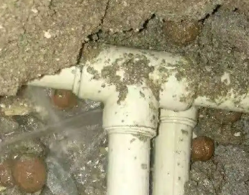 巨野测漏水多少钱