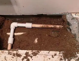 巨野测漏水哪家好