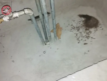 巨野卫生间测漏水价格明细